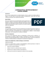 Resumen de Posicion de Politica de La IFAC No 7 Gobierno de La Entidad Eficaz Gestion de Riesgos y Control Interno