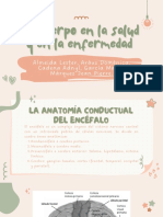 El Cuerpo en La Salud y en La Enfermedad. Psicología de La Salud.