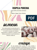 Erisipela Porcina - Cervantes Camacho Dana Sofia - B2