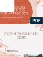 Encefalitis Equina Del Oeste - Cervantes Camacho Dana Sofia - B2