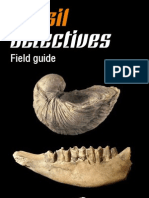 Fossil Detectives Field Guide