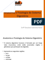 Anatomia e Fisiologia Do Sistema Digestorio