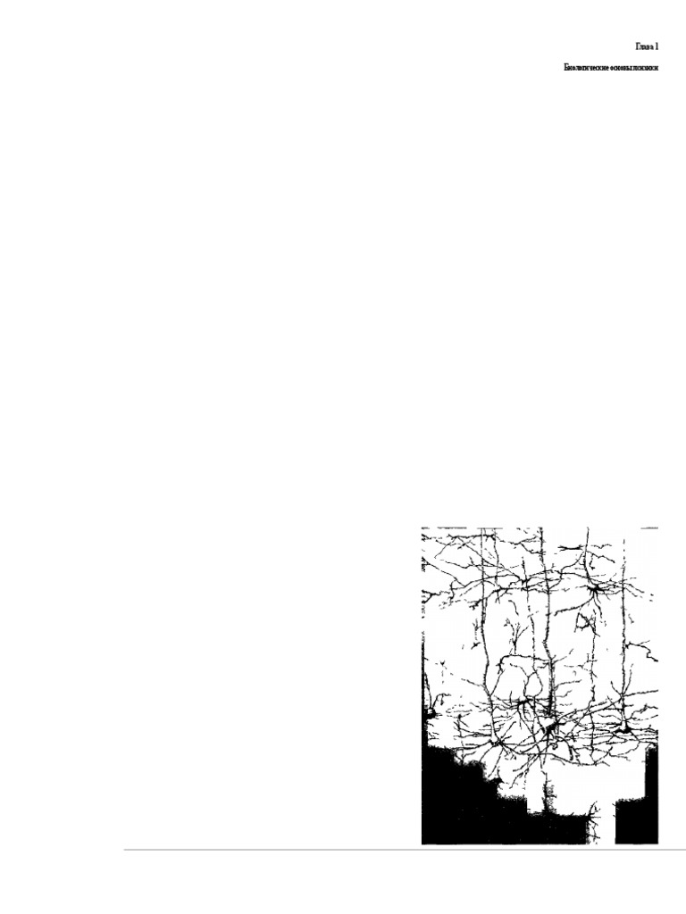 Психофизиология. Психологическая Физиология С Основами.