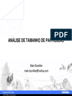 Analise de Tamanho de Particulas