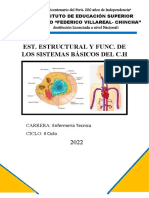 Enfermedades Del Sitema Muscular