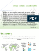 Planes de Mejoramiento Cimmyt 2020 Colombia