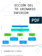 Infección Del Tracto Urinario Inferior