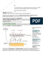 Fisio 8-2