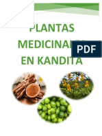 Plantas Medicinales en Kandita 2022 ..17 - 03 - 2022