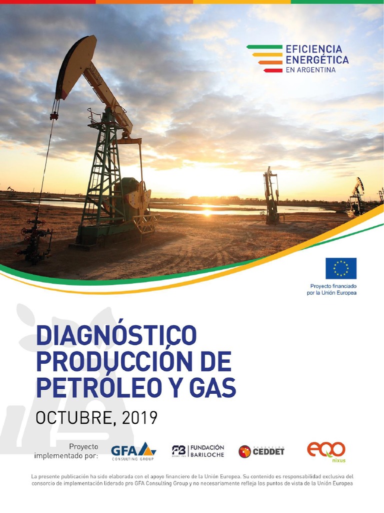 Diagnóstico Energético Argentina 2023 | PDF | Petróleo | Gas natural