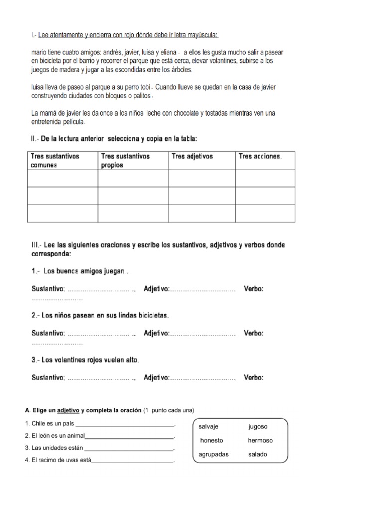 Prueba Lenguaje Segundo Basico | PDF