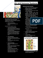 Lymphatic System