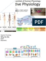  Digestive Physiology-Lecture