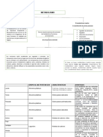 Docuemnto, Conceptualizacion y Clasificacion de Alimentos