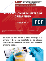 Sesion 9 y 10 Recoleccion de Muestra de Orina en Nio