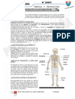 Aparato Locomotor