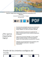 GPortaluppi - Iniciativa TNFD