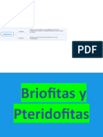 Briofitas y Pteridofitas