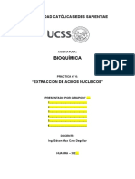 Practica #06 - Extracción de Ácidos Nucleicos