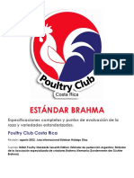 Estándar Brahma