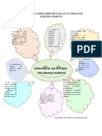 Mapa Mental Sobre Derechos de Las Victimas Por Agentes Quimicos. Gisela Balcarcel Machado