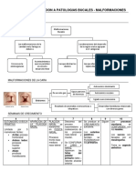 Unidad 9 - Introduccion A Patologias Bucales - Malformaciones