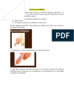 Clase de M. Estriado FISIOLOGIA MEDICA