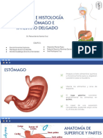 DIAPOS Anatomía e Histología