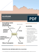 Glucólisis