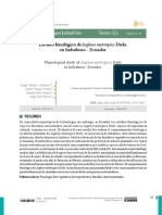 Estudio Fenológico de Juglans Neotropica Diels. en Imbabura - Ecuador