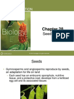 Seed Plants PDF
