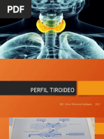 Portafolio de Exámenes Colcan | PDF
