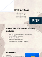 Reino Animal: Biologia 1p