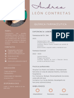 Curriculum Curriculo CV Profesional Moderno Original