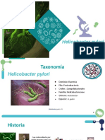 Helicobacter Pylori