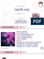 Shigella SPP