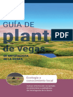 Guia Plantas de Vega de Antofagasta de La Sierra - Alta