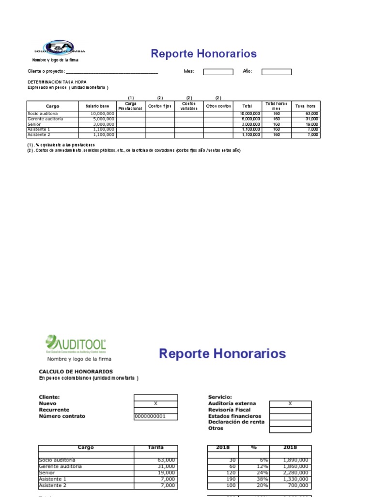Reporte de Honorarios y Costos Auditora | PDF | Economias | Business