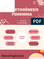 Gametogenesis Femenina