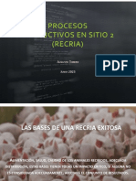 Procesos Productivos Sitio 2 (Recria)