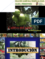 Presentacion Palta Ciat.