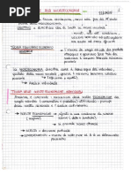 Flowgorithm Manuale ITA | PDF