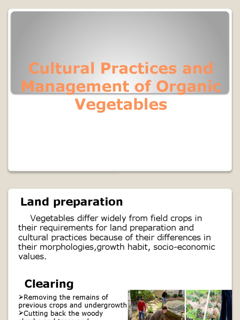 Cultural Practices and Management of Organic Vegetables PDF Mulch