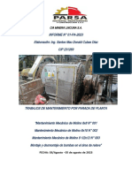 Informe PDP LINCUNA3