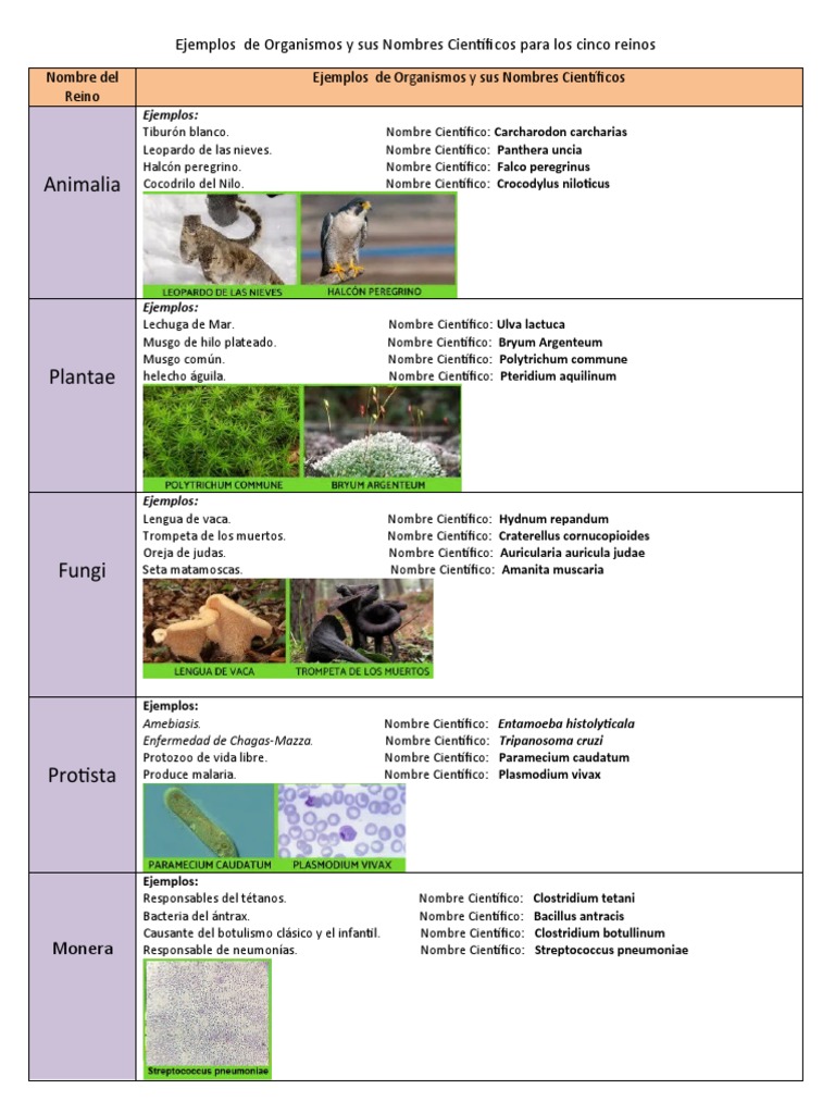 Organismos y Sus Nombres Científicos | PDF | Ciencia y matemáticas
