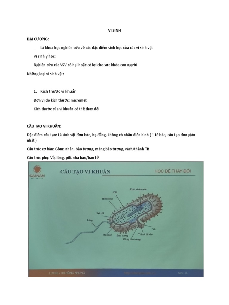 Vi Sinh | PDF