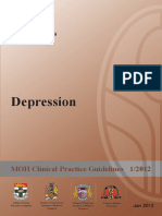 Depression-Cpg r14 Final