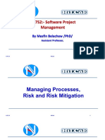 Project Risk and Risk Mitigation