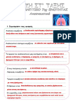 ΣΤ ΦΥΣΙΚΗ ΕΝ7 ΕΠΑΝ Αναπνευστικό - Απαντήσεις