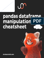 Pandas Dataframe